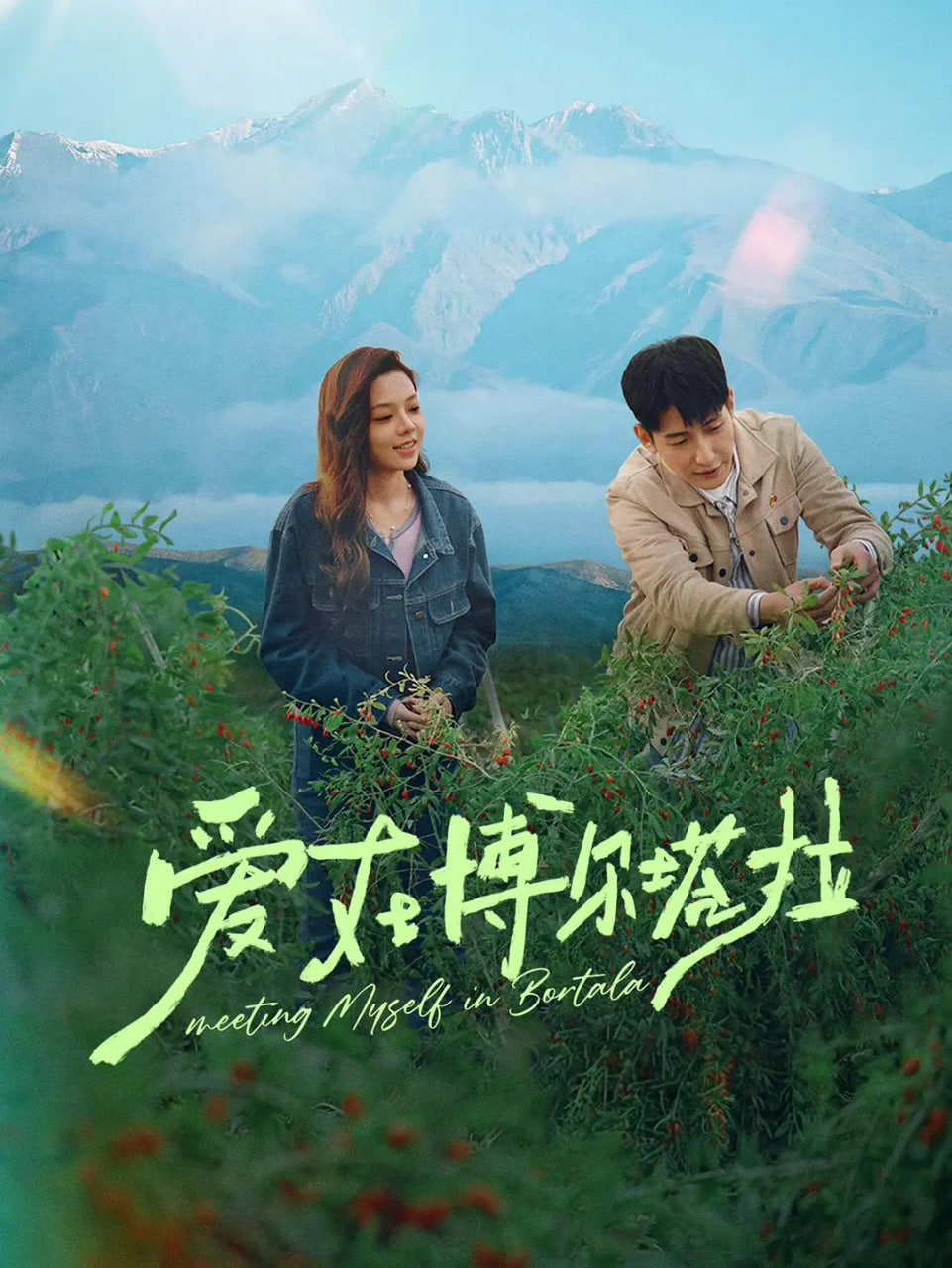 爱在博尔塔拉
